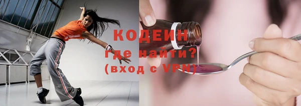 гашик Пестово