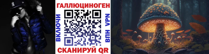наркота  Хотьково  Псилоцибиновые грибы Psilocybine cubensis 