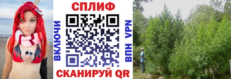 Канабис SATIVA & INDICA  магазин  наркотиков  Хотьково 